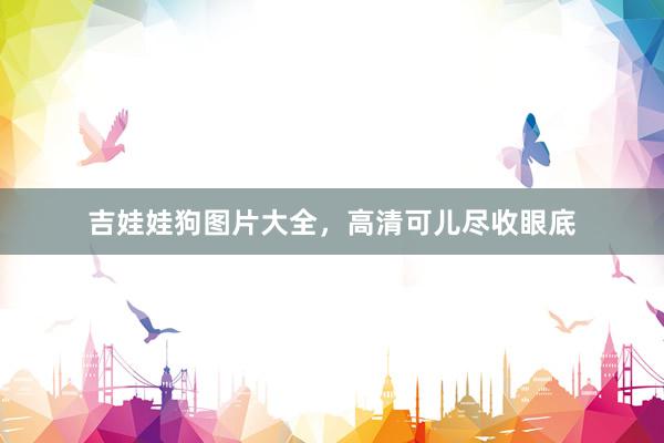 吉娃娃狗图片大全，高清可儿尽收眼底