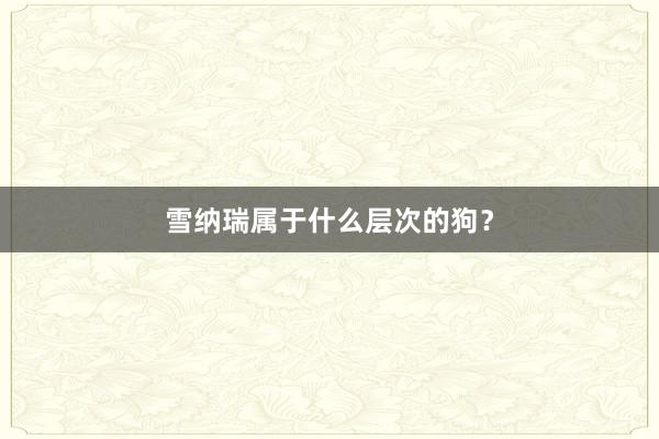 雪纳瑞属于什么层次的狗?